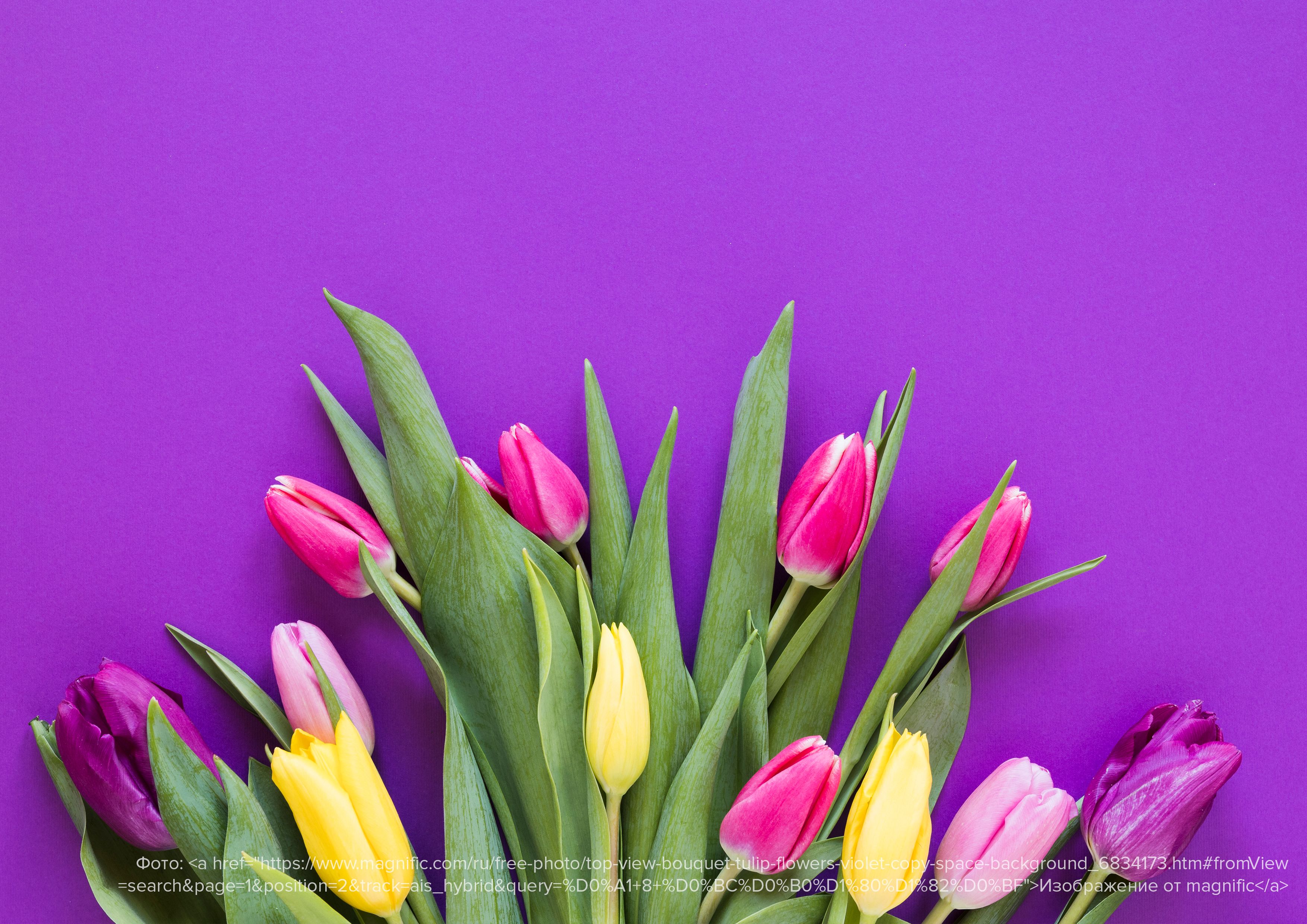 Aeronaova celebrates International Women’s Day